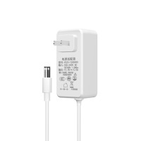 60W Power Adapter