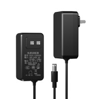 60W Power Adapter